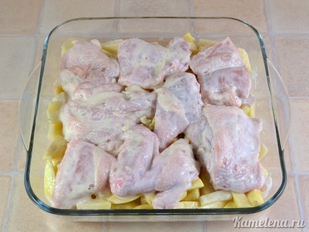 Выложить курицу поверх