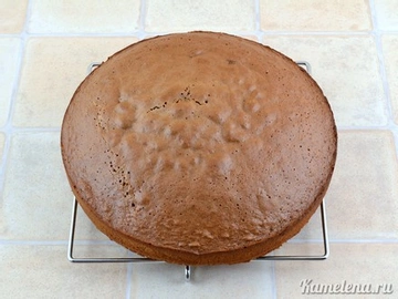 Торт панчо классический рецепт с фото пошагово