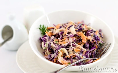 Легкий салат из свежей капусты, яблока и огурца – пошаговый рецепт приготовления с фото