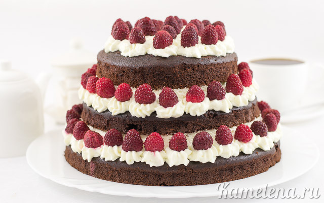 Шоколадный торт «На раз, два, три» — рецепт с фото пошагово